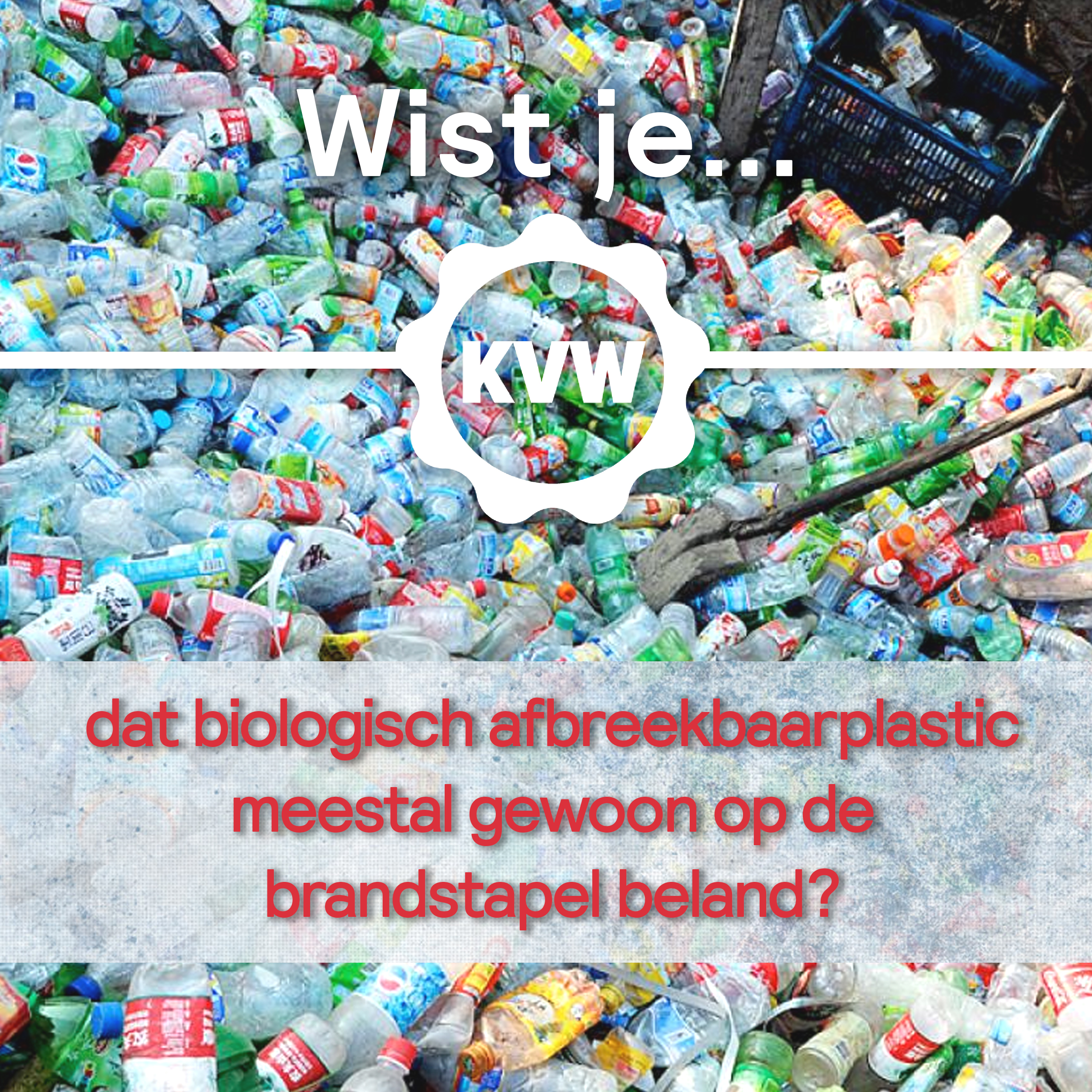 wistjeplastic